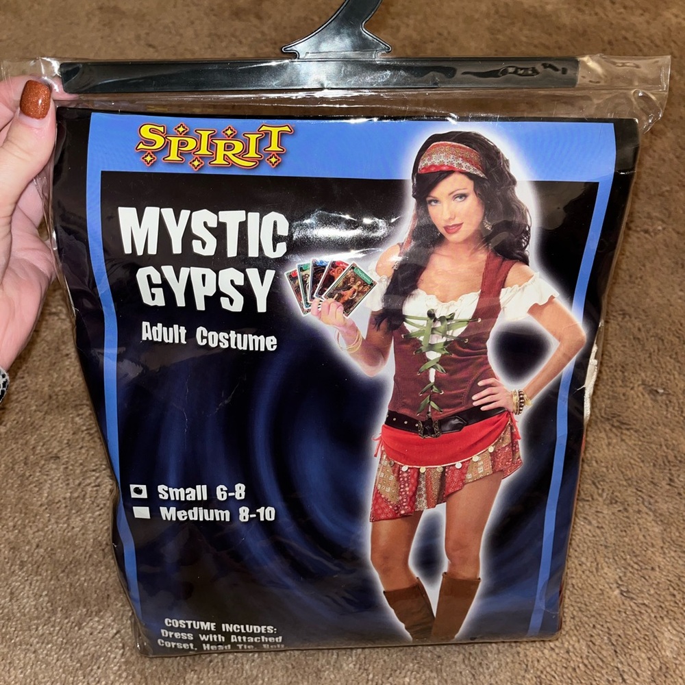 Halloween Costume Gypsy Fortune Teller